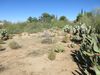 27300 Bullard Drive photo